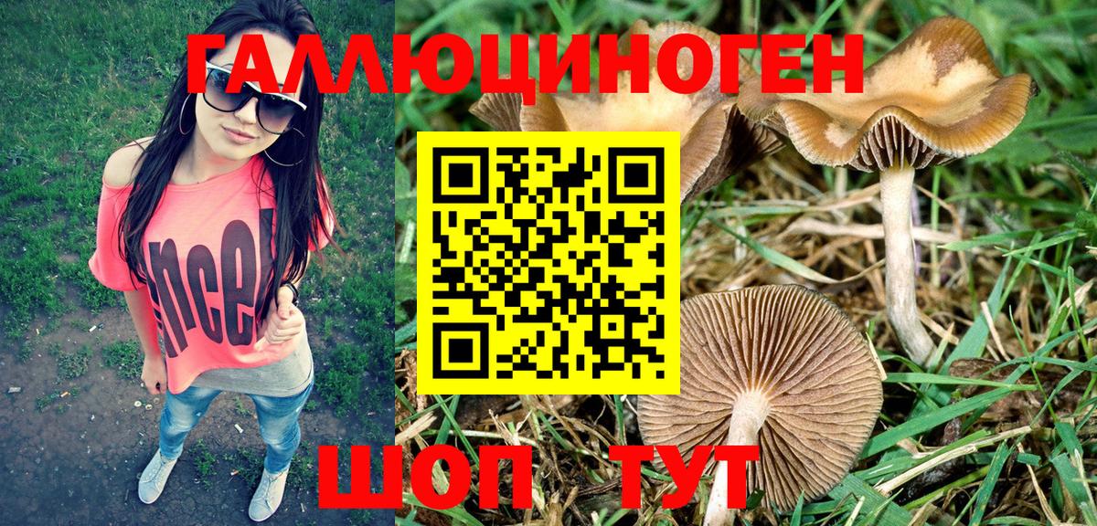 Галлюциногенные грибы GOLDEN TEACHER  Галлюциногенные грибы мицелий  Вольск  Вход с VPN 